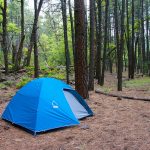Camping Headlamp Reviews